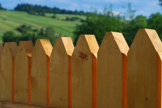 Fence1.jpg